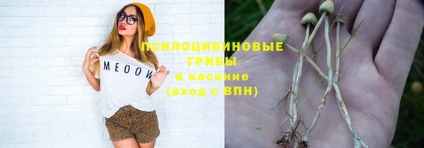 гашик Верхний Тагил