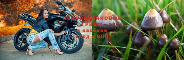 apvp Верея
