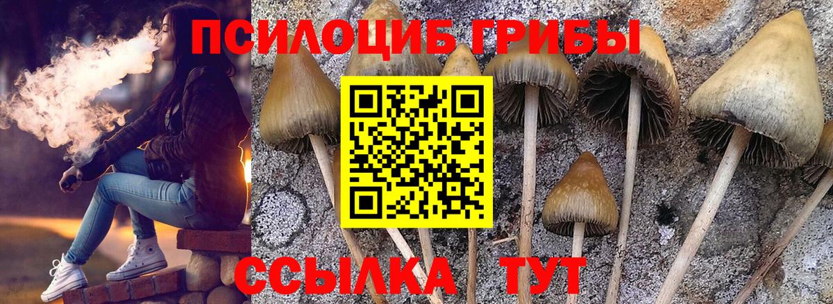 Псилоцибиновые грибы ЛСД Минеральные Воды