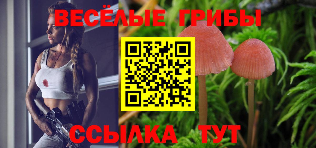 Минеральные Воды  Галлюциногенные грибы Cubensis  Вход с VPN 